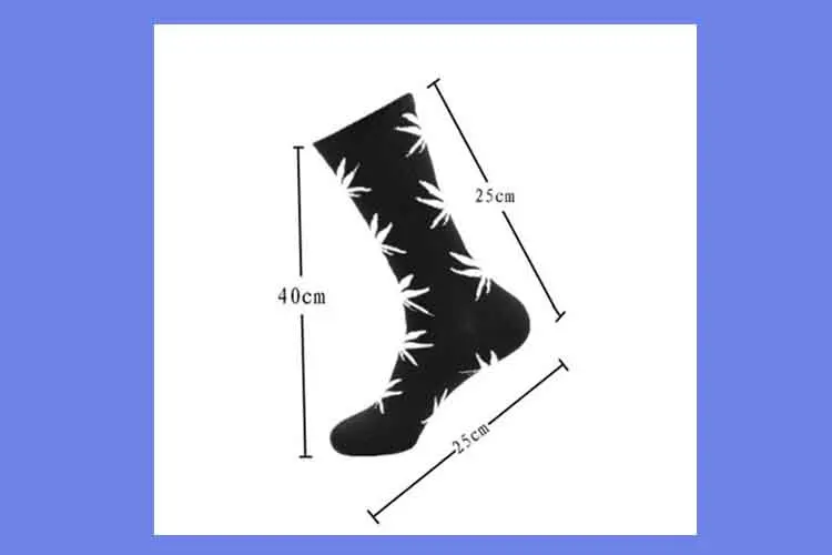 3380555351_1380566469