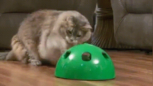 1 (3)