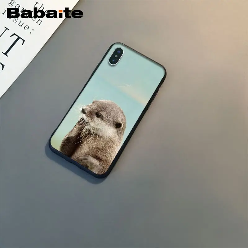 lovely cute Otter water animal