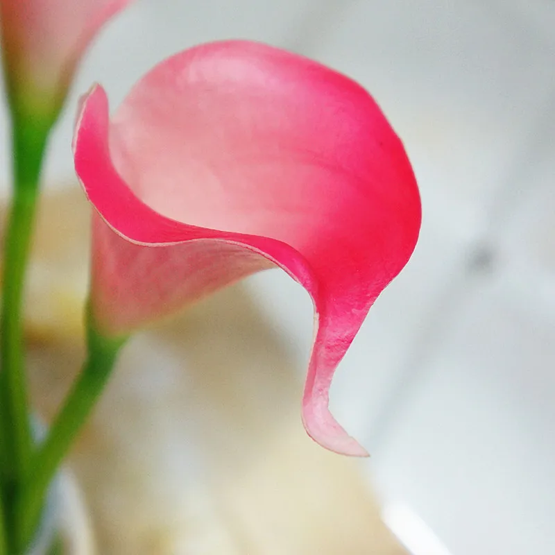 9pcs-Fuschia-Wedding-Flowers-Real-Touch-Calla-Lilies-Flowers-Artificial-Latex-Calla-Wedding-Centerpieces-Decor (2)