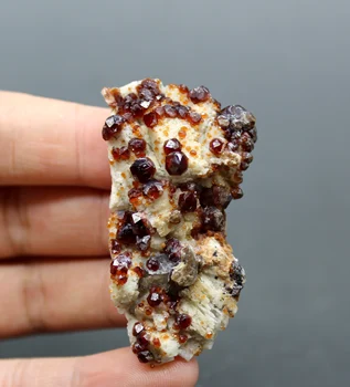 

24g natural Garnet minerals specimen stones and crystals healing crystals quartz gemstones