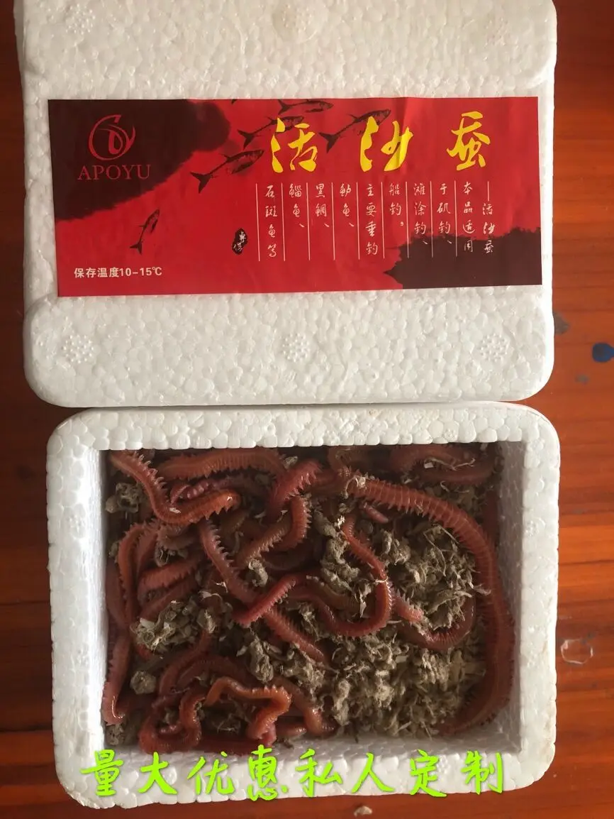 Живая приманка neriis hai wu gong Sea Anchovy Sea Leech Red Budworm морская рыболовная приманка в форме земляного червя