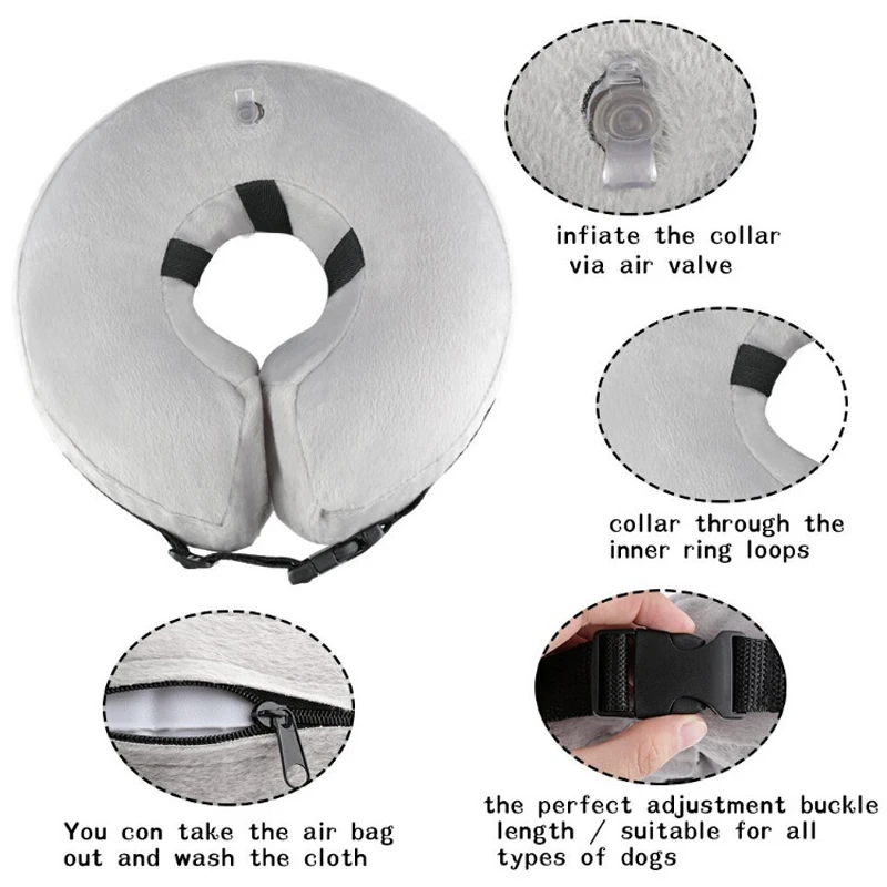 8564235321_1977949419