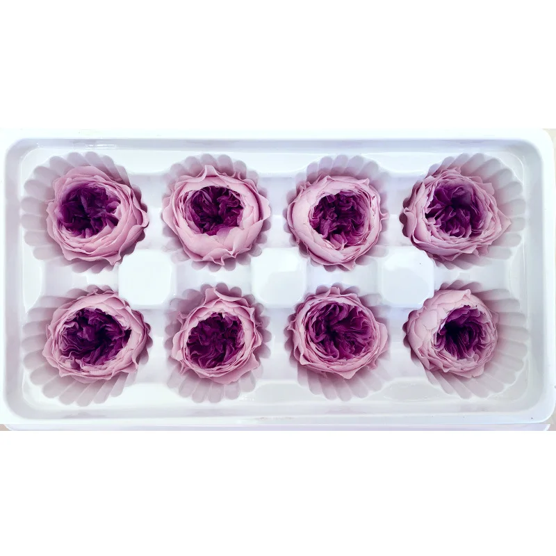 Pink Red-Purple 1 коробка высокого качества вечный цветок Роза Остина диаметр цветка 4-5 см класса А с лакированным вечные цветы материал для изготовления подарочной коробки - Цвет: Pink Red-Purple