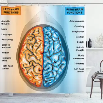 

Educational Shower Curtain, Human Brain Left and Right Functions List Mentality Intellect Neurology, Cloth Fabric Bathroom Decor