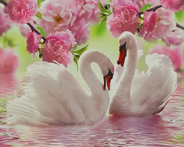 HTB16UMzNQvoK1RjSZFwq6AiCFXaw