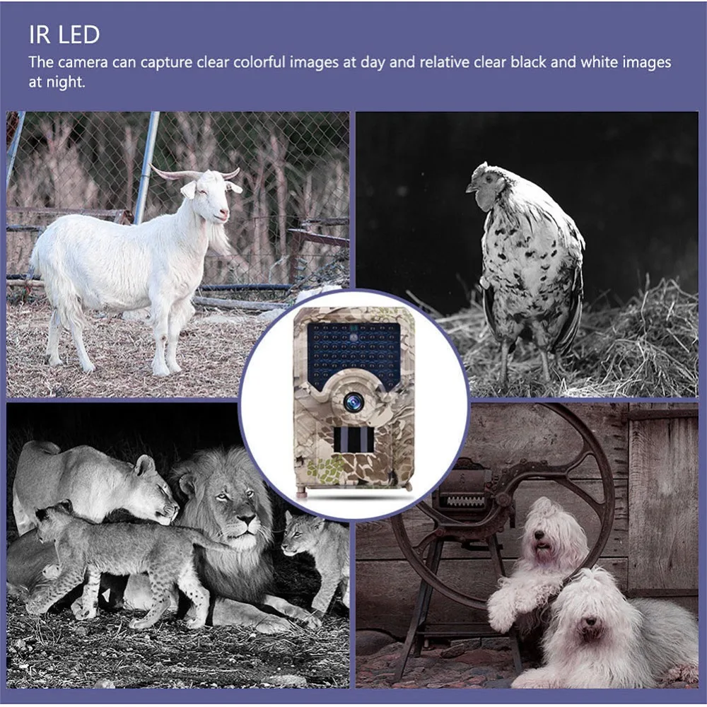 307502_no-logo_307502-1-04-c