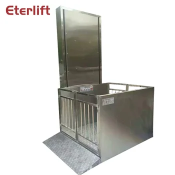 

WheelChair Lift for Disabled Person