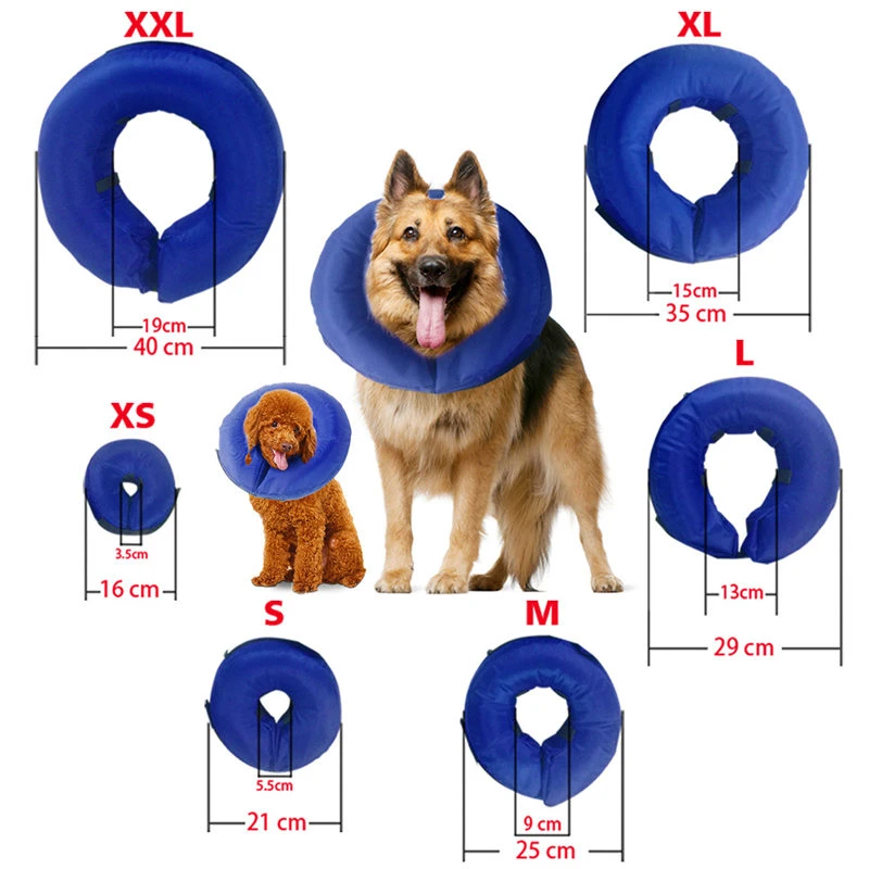 Can Dogs Sleep With Inflatable Collar