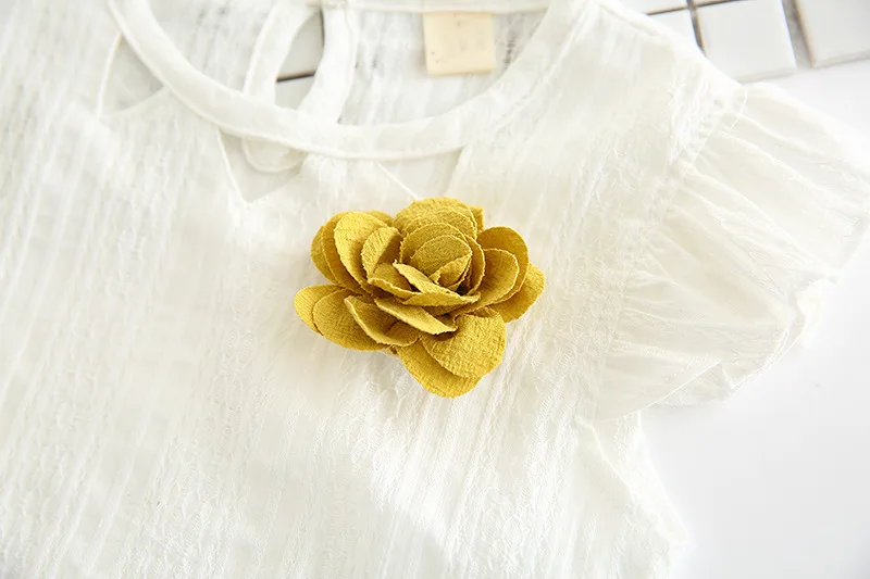 11160654486_107321111