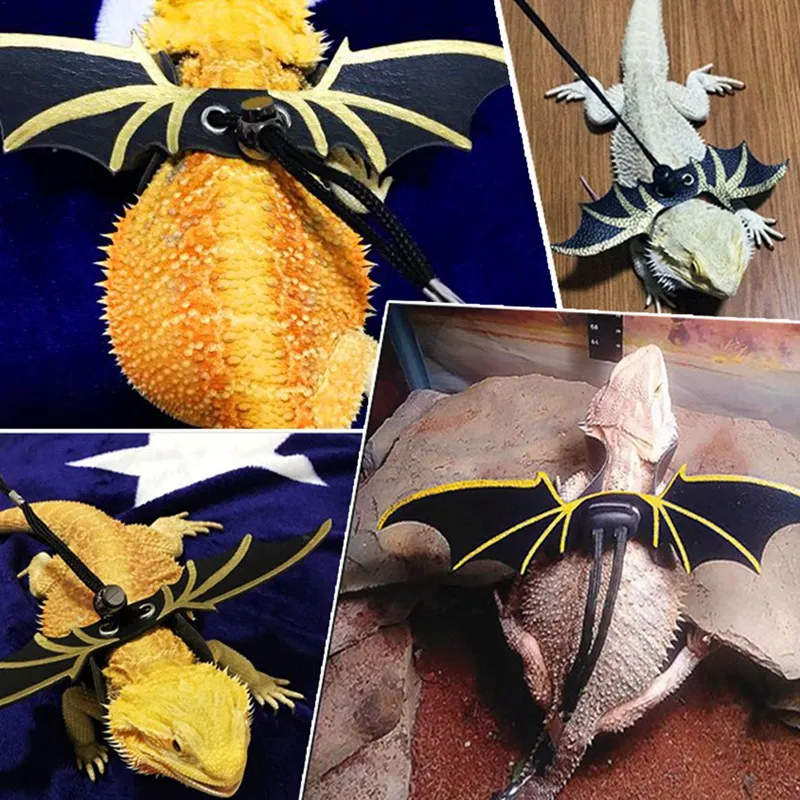

Pet Lizard Outdoor Walking Accessories Leash Rope Dragon/Iguanas Wing Small Reptile Cosplay Harness Pet Lizard Funny Harness