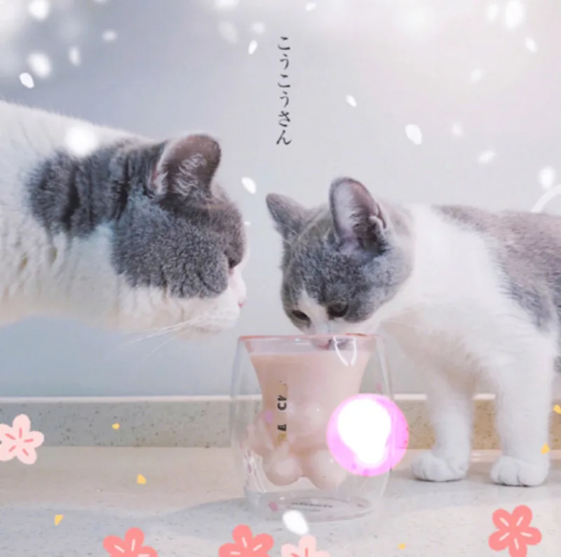 Кошачья лапа чашка Двойная стеклянная молочная чашка кофейная чашка кружка розовая вишня пивная кружка