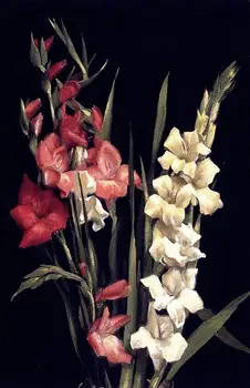 

Still Life with Gladiolas by Edward Leavitt ART SILK POSTER Decorative painting 24x36inch
