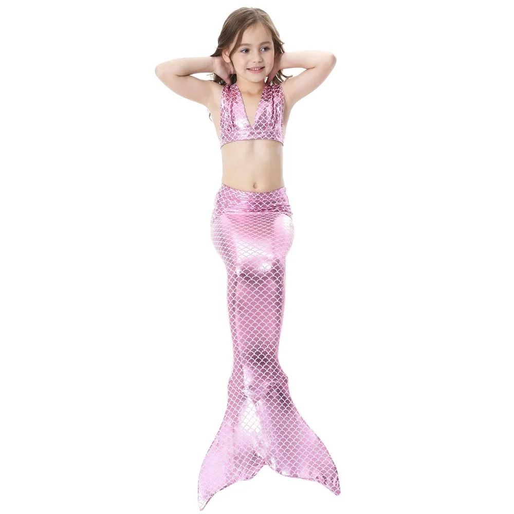 4250228393_898390851