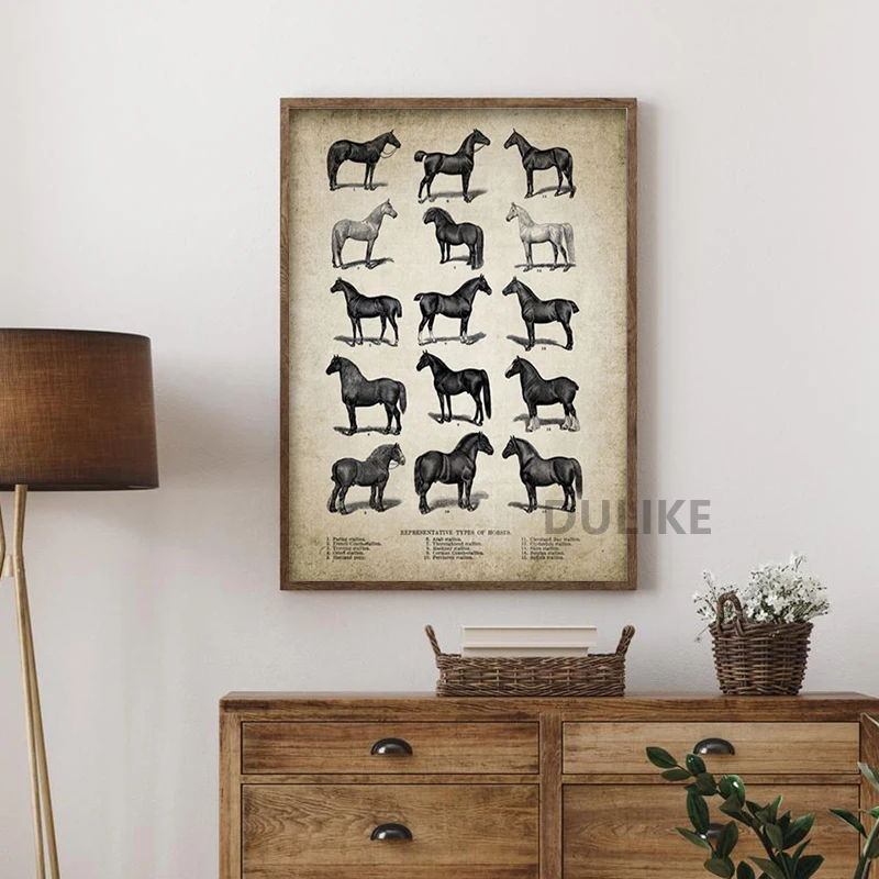Vintage Horse Anatomy Wall Art 4