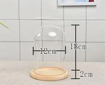 2pc log base dome 2 шт./упак. 12*18 см различное деревянное основание стеклянная купольная ваза, домашний декор бревна стеклянный купол друг Подарочное свадебное украшение - Цвет: 2pc log base dome