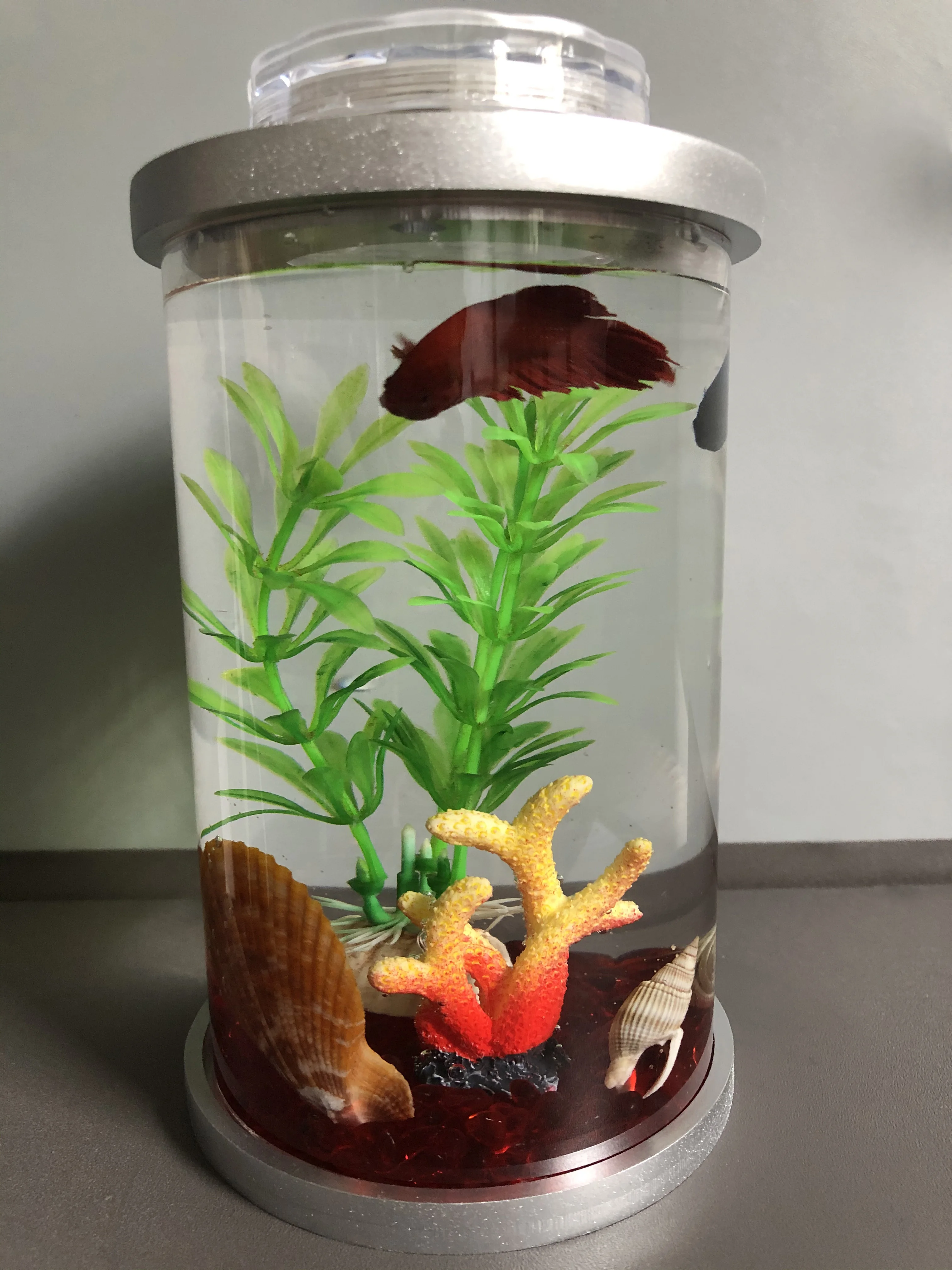 お求めやすく価格改定 高品質 水槽 ガラス エビ 孵化用アクセサリー Shipsctc Org