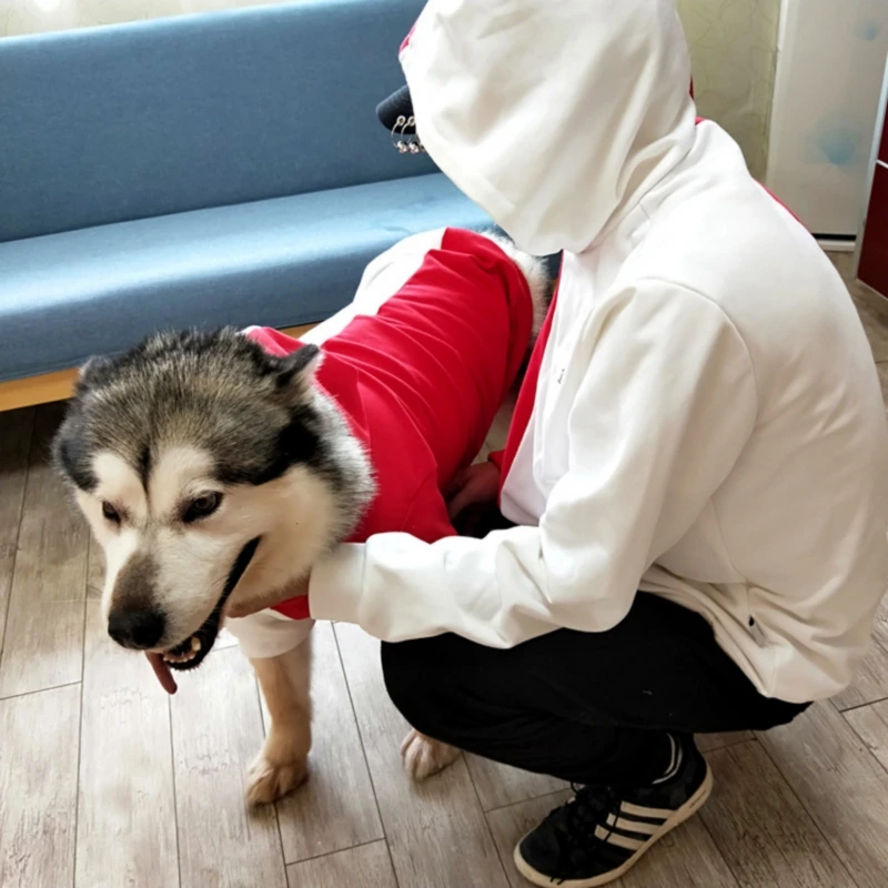 Худи с кошкой для домашних животных, рубашка, флисовая семейная Одежда для собак, пальто для родителей и детей, Одинаковая одежда, куртка для маленькой большой собаки, пижама с бульдогом