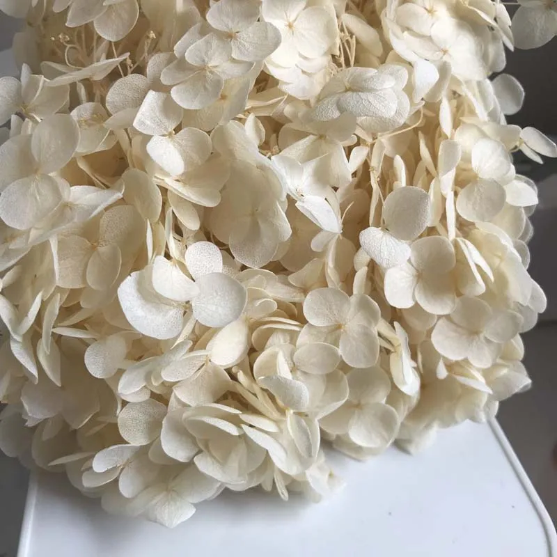 9boxes,Long Time Lasting Natural Fresh Preserved Flowers Dried Hydrangea Flower Head For IY Real Eternal Life Flowers Material - Цвет: 39