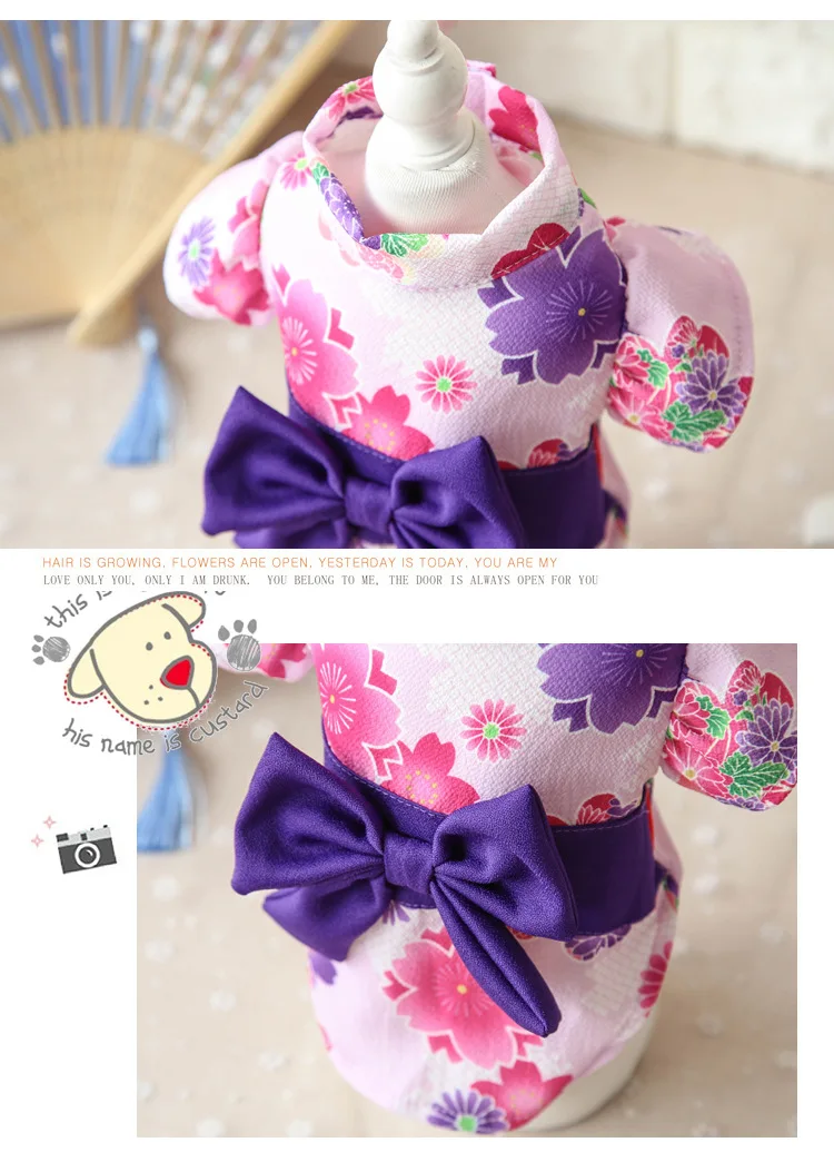 201911239480616661753200