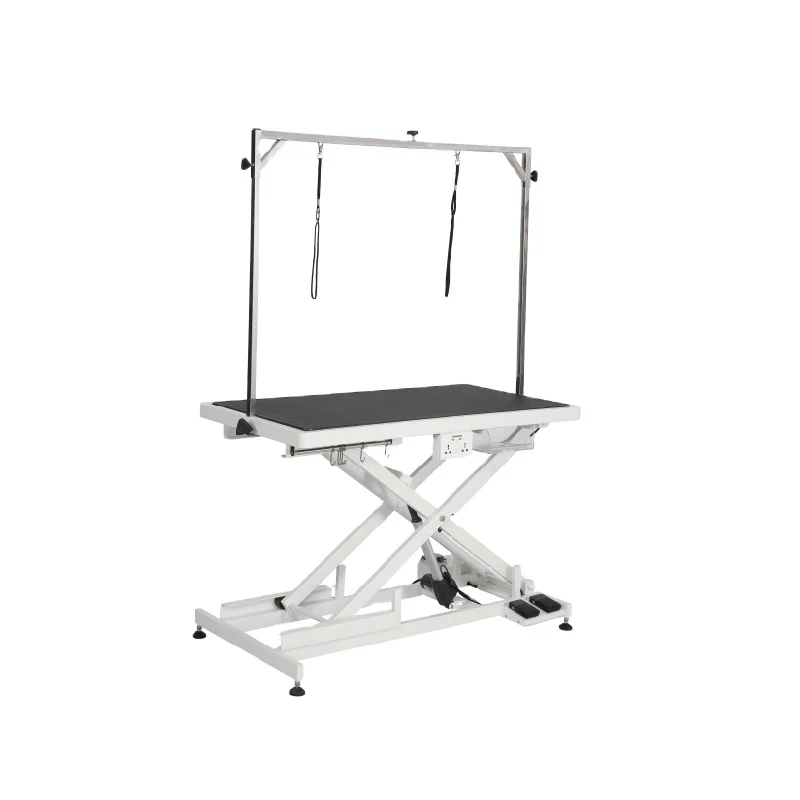 

FT - 808pro pet products Low-Low Electric Lifting pet grooming Table for dogs