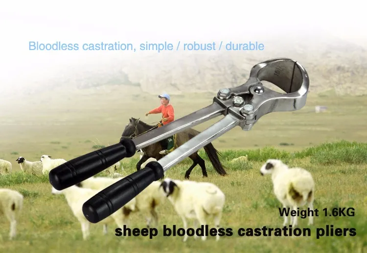 HTB1Xq9OKVXXXXbGXFXXq6xXFXXXz