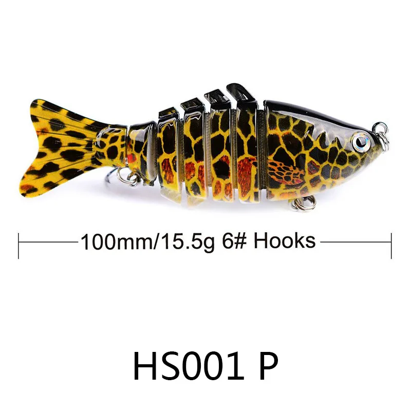 HS001P