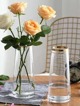 

European Glass Vase Light Luxury Gold Rim Water Hydroponics Plant Vase Desktop Ornaments Home Decoration