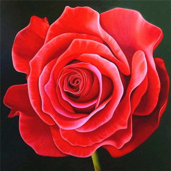 AZQSD Алмазная Вышивка Цветы ручная работа алмазная картина Роза картина Стразы Алмазная мозаика домашний декор ремесла подарок - Цвет: rose 4032