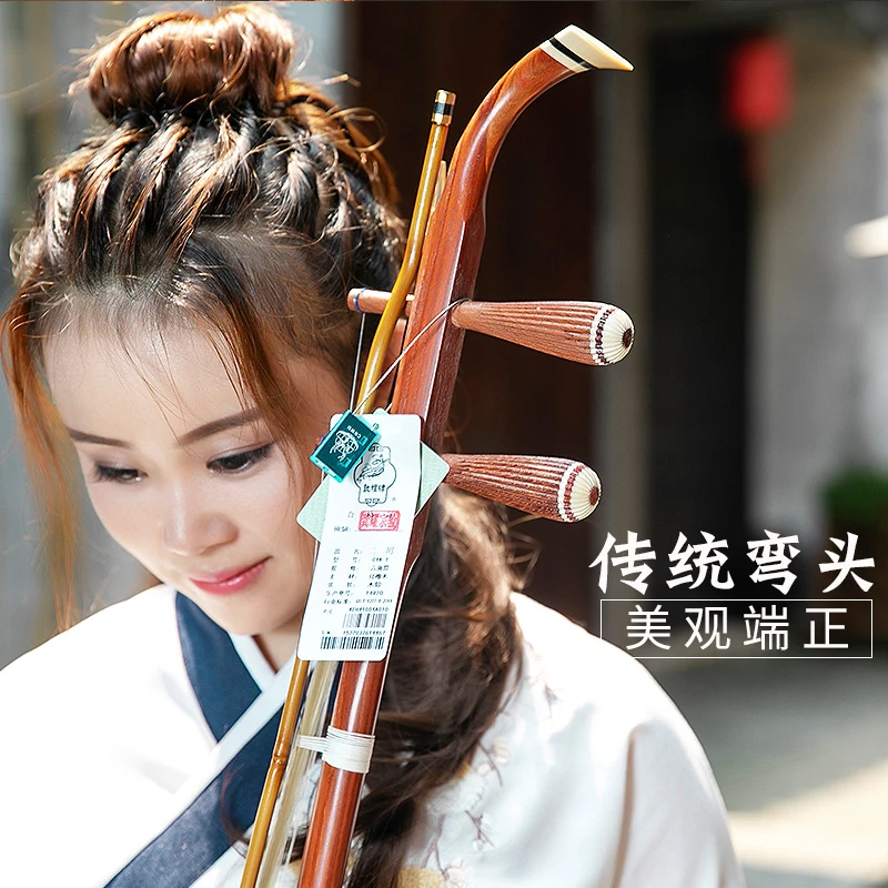 Dunhuang Erhu Chinese String Instrument, Huqin Red Sandalwood, Professional Erhu with Accessories, String Bow