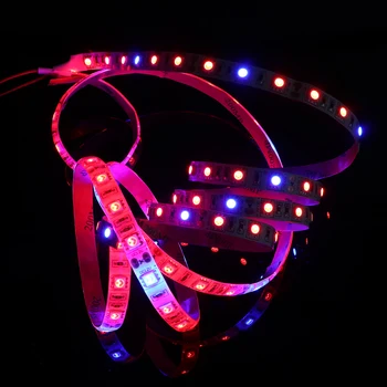 

New 5m Waterproof 5050 LED Strip Plant Growing Light Lamp Full Spectrum DC 12V Grow Lights For Greenhouse Hydroponic Plant