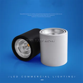 

LED Downlights Dimmable 5W 7W 10W 20W 30W Surface Mounted Ceiling Lamps Spot Light Warm /Natural /Cold White AC 85-265V + Driver
