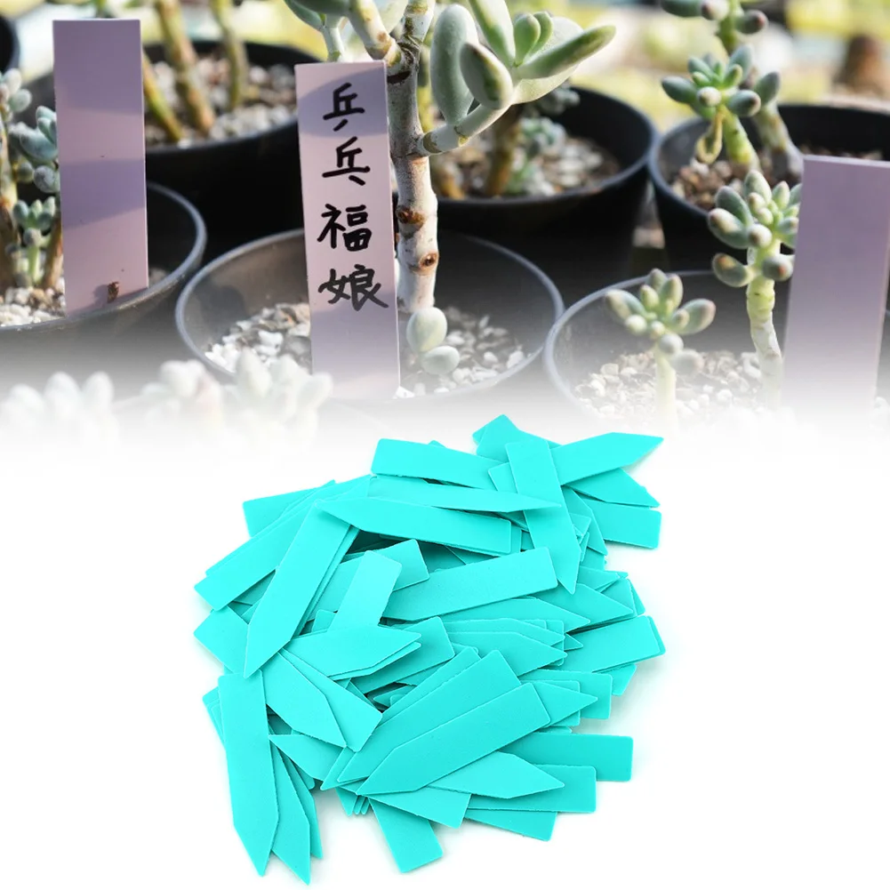 100 Pcs Plastic Flower Plant Succulent Plant Plastic Tags Garden Seed Name Stake Label Marker Prompt Card Classification Tool
