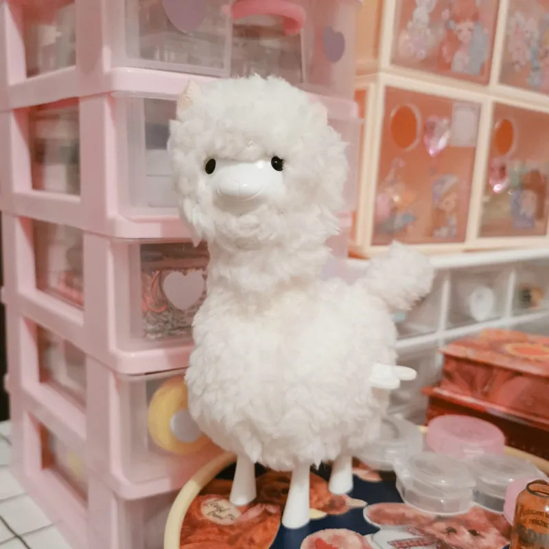 O1CN01hN2ExT1wsl9CpQnmA_!!3039616364