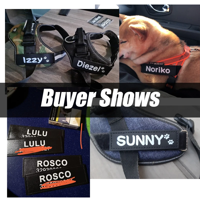 Disfraces Necesario cemento etiquetas velcro julius k9 Específico