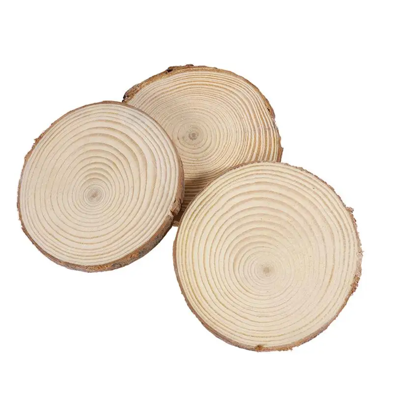 10pcs Unfinished Natural Round Wood Slices Circles with Tree Bark Log Discs for DIY Crafts 9-10cm