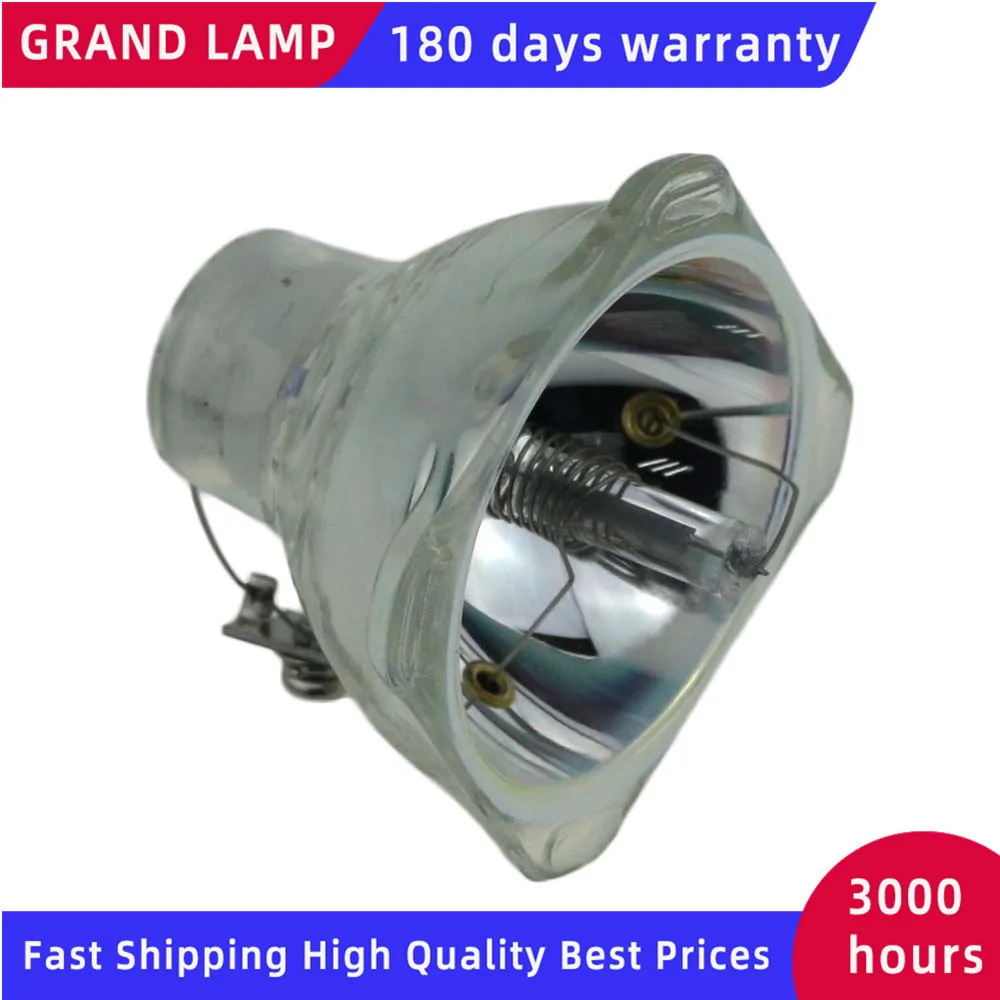 SP-LAMP-003-4