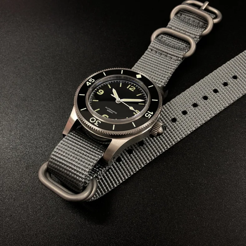 steeldive watch 2