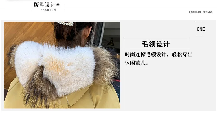Photo Shoot Autumn And Winter Down Jacket Women's Korean-style Large Fur Collar Loose-Fit Students Cotton-padded Clothes Fa