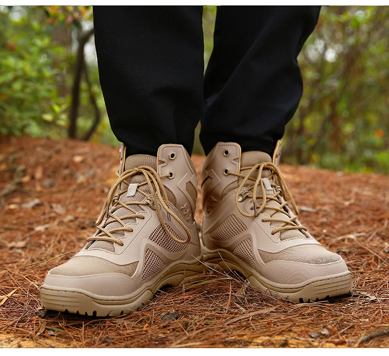 15354059631_1618685031