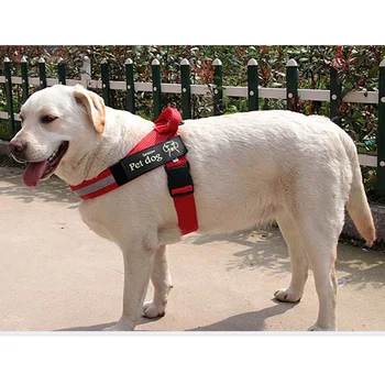 

Dog Collars Dog Seat Belt Dog Leash Vest Rope Dog Strap Pet Dog Chain for Labrador Oxford Cloth Tenac Pet Supplier Hot Selling
