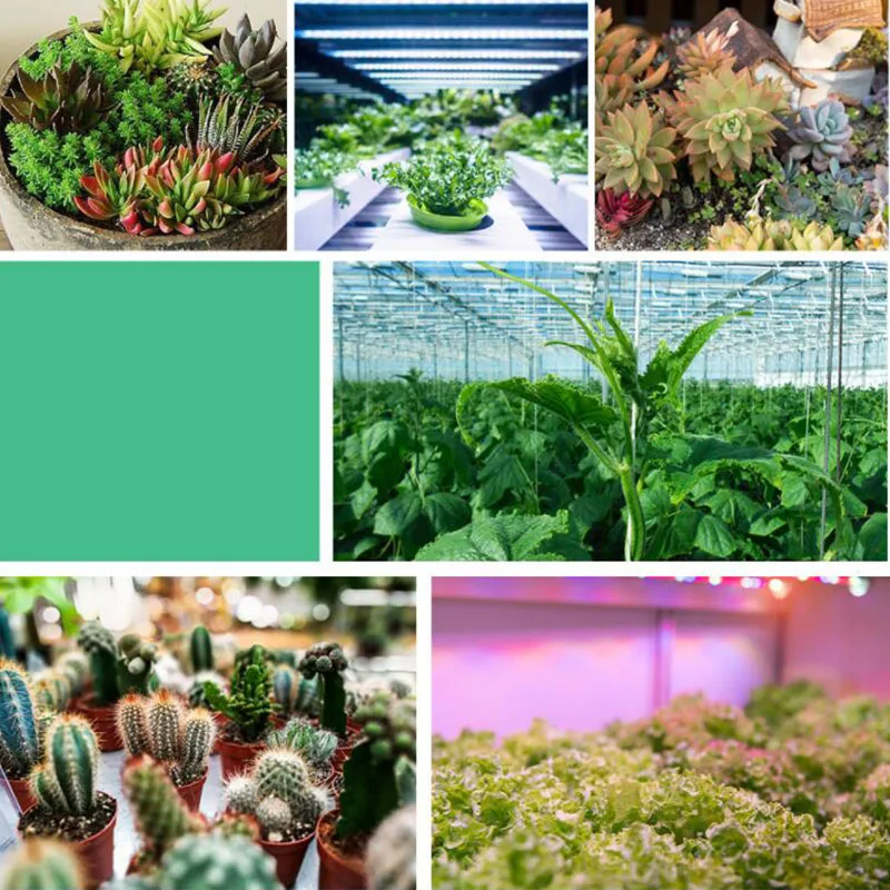 Description Picture 3 of item40 150 200 LED plant Grow Light Full Spectrum Sunlike E27 phyto lamp Bulb Aluminum For Indoor Hydroponics Flowers Growing A1