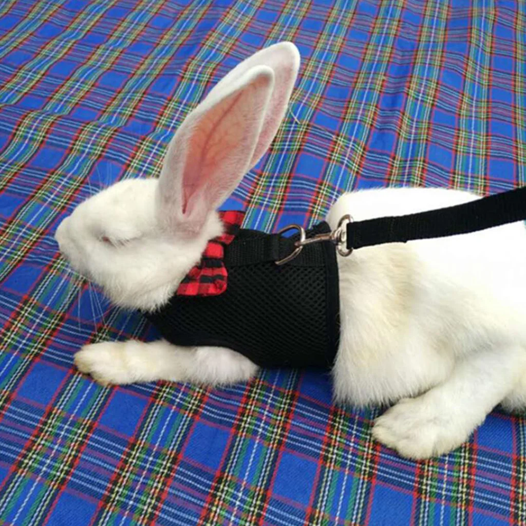 Rabbit Traction Rope Hamster Vest Horse Harness Belt Rabbit Mesh Chest Strap Harness Snow Guinea Pig 1 Rabbit Traction Rope Hamster Vest Horse Harness Belt Rabbit Mesh Chest Strap Harness Snow Guinea Pig 3