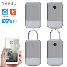 Boîte de rangement de clé intelligente Tuya, boîtier de verrouillage de clé en alliage d'aluminium avec mot de passe réseau sans fil BT 4.2, télécommande APP