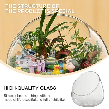 

Microlandschaft Terrarium Flower Glass Vase Micro-Ecology Environment Bottles Succulent Plant Vase Glass Container for Flower