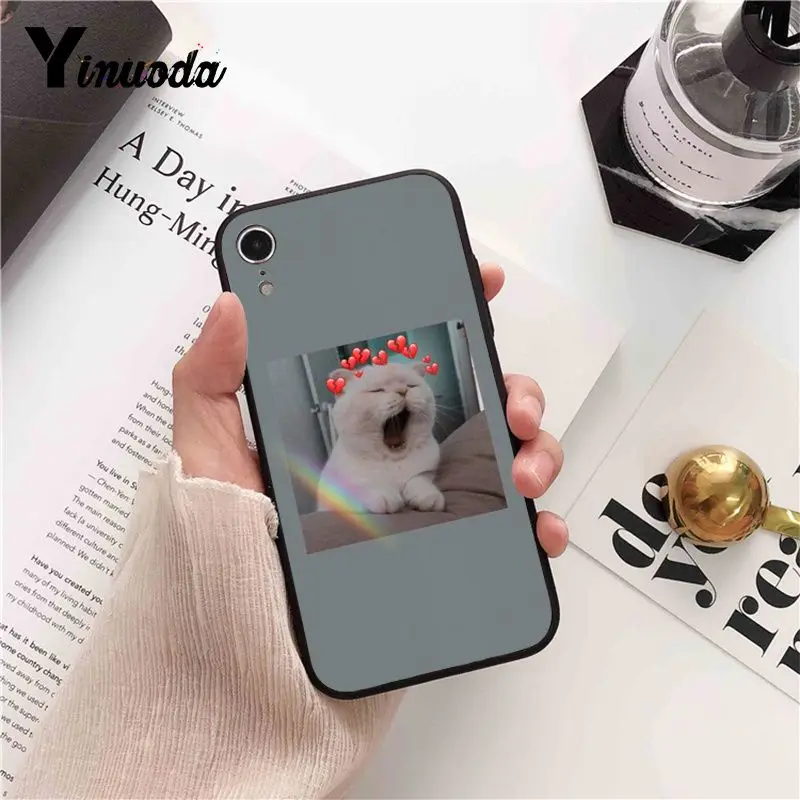 funny cat dog mood