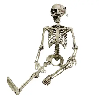 

90CM Halloween Haunted House Props Skeleton Dry Corps Skeleton Child Secret Room Bone Head Decoration