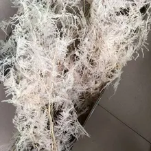 2 пряди консервированные сушеные белый/розовый спаржа Setaceus ветка для ремесла подарок Материал аксессуар украшение цветок аранжирование DIY