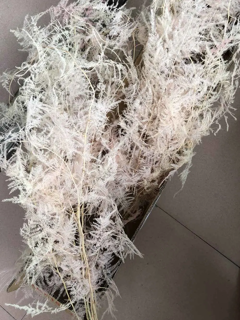 

2 Bundles Preserved Dried Pale Pink Asparagus Setaceus Branch For Craft Gift Material Accessory Decoration Flower Arranging DIY