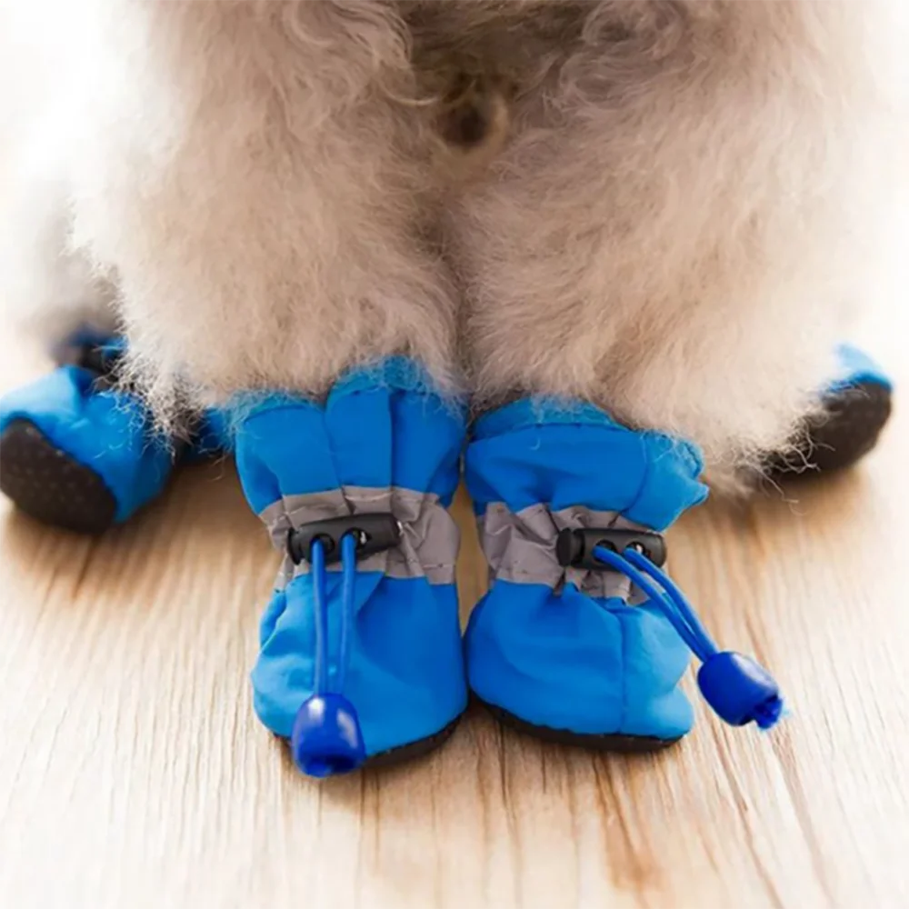 Zapatos Multicolor para perros y gatos, botas antideslizantes impermeables, calcetines supersuaves, productos para mascotas